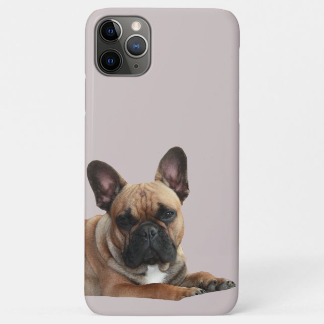 Französische Bulldogge Niedlich French Bulldog Case-Mate iPhone Hülle (Rückseite)