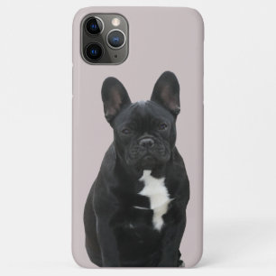 Französische Bulldogge Niedlich French Bulldog Case-Mate iPhone Hülle