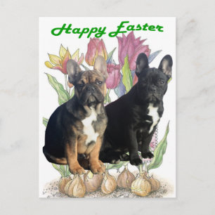 Französische Bulldogge  Ostern French Bulldog Postkarte