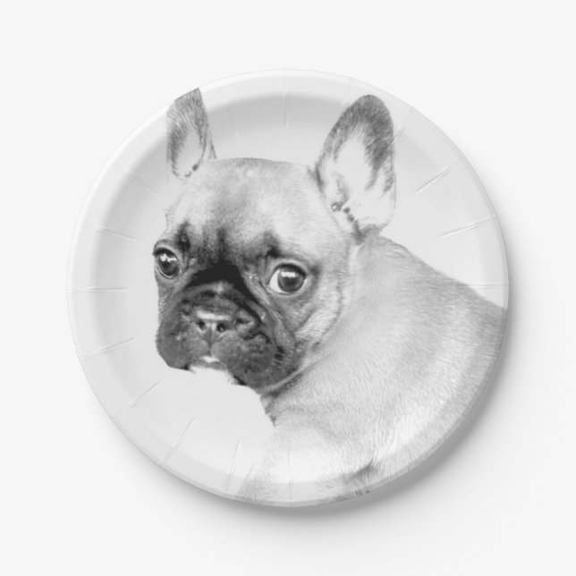 Französische Bulldogge Pappteller (Vorderseite)