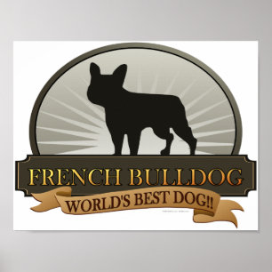 Französische Bulldogge Poster