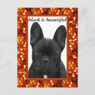 Französische Bulldogge Postkarte