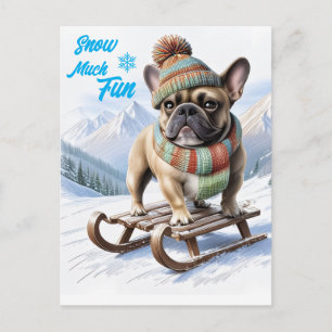 Französische Bulldogge Schlitten  French Bulldog Postkarte