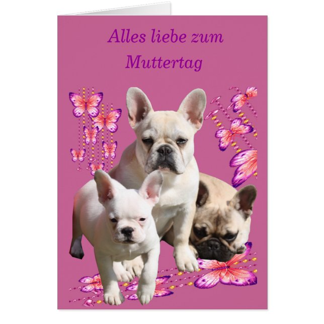 Französische Bulldogge Schmetterling Bulldog (Vorne)