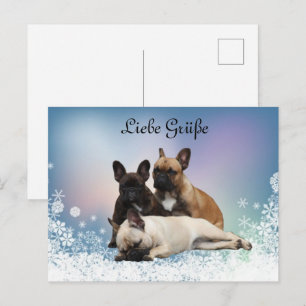 Französische Bulldogge Schnee French Bulldog Postkarte