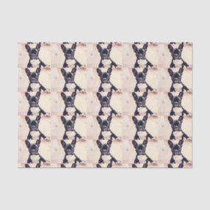 Französische Bulldogge Seidenpapier