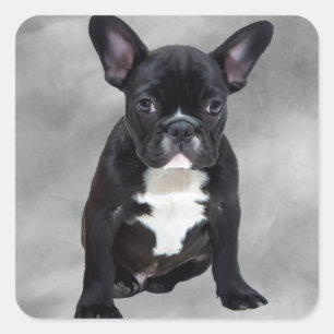 Französische Bulldogge sitzt Wasserfarbe Ölmalerei Quadratischer Aufkleber
