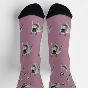 Französische Bulldogge  Socken