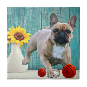 Französische Bulldogge Sonnenblume French Bulldog Fliese