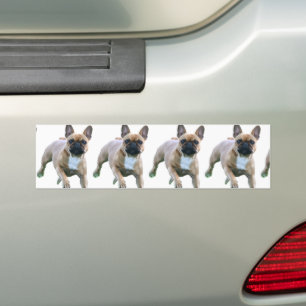 Französische Bulldogge Sprung French Bulldog Autoaufkleber