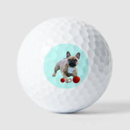 Französische Bulldogge Sprung French Bulldog  Golfball