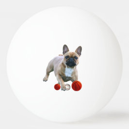 Französische Bulldogge Sprung French Bulldog  Tischtennisball