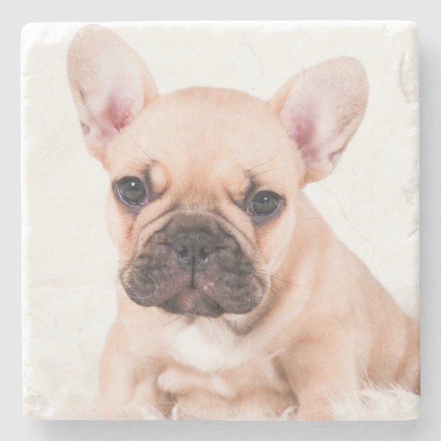 Französische Bulldogge Steinuntersetzer (Vorderseite)