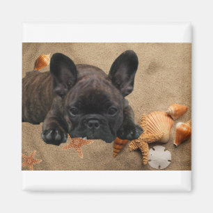 Französische Bulldogge Strand French Bulldog Magnet