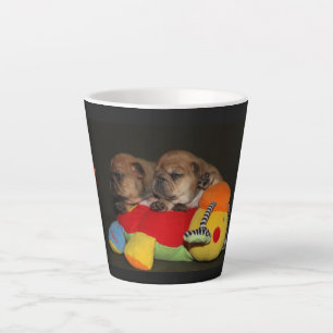 Französische Bulldogge Süße Welpen French Bulldog Milchtasse