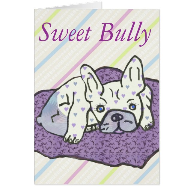 Französische Bulldogge Sweet Bully French Bulldog  (Vorne)