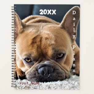 Französische Bulldogge - Tagesplaner- HAMbWG Planer