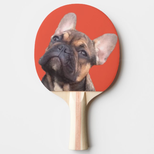 Französische Bulldogge Tischtennis Schläger (Vorderseite)
