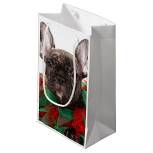 Französische Bulldogge tragender Weihnachtskragen Kleine Geschenktüte