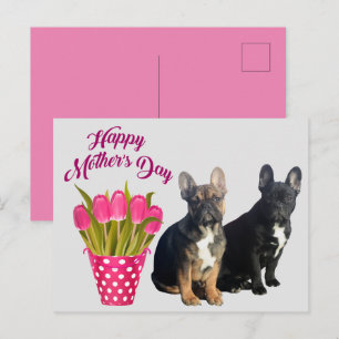 französische Bulldogge Tulpen French Bulldog Postkarte