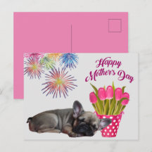 französische Bulldogge Tulpen French Bulldog