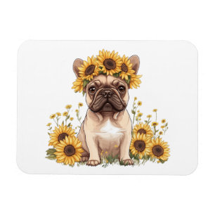 Französische Bulldogge umgeben von Sonnenblumen Magnet
