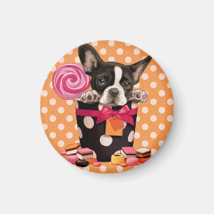 Französische Bulldogge und Süßigkeit Magnet