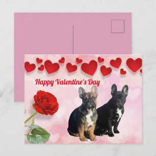 Französische Bulldogge Valentinstag French Bulldog Postkarte
