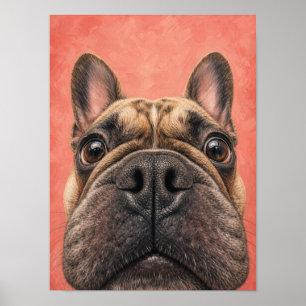 Französische Bulldogge Wandkunst — Lustiges große Poster