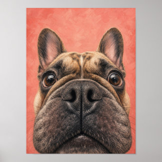 Französische Bulldogge Wandkunst — Lustiges große Poster