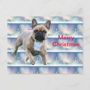 Französische Bulldogge Weihnachten French Bulldog
