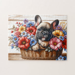 Französische Bulldogge Welpe