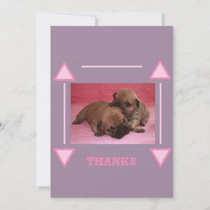 Französische Bulldogge Welpe French Bulldog Dankeskarte