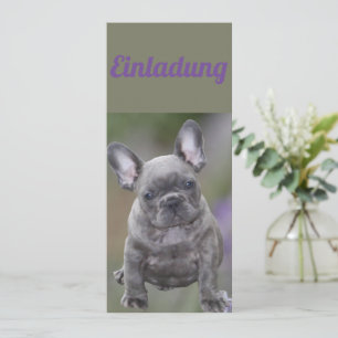 Französische Bulldogge Welpe French Bulldog Einladung