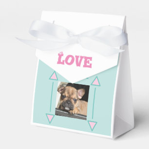 Französische Bulldogge Welpe French Bulldog Geschenkschachtel