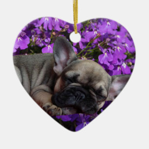 Französische Bulldogge Welpe French Bulldog Keramikornament