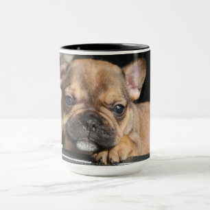 Französische Bulldogge Welpe French Bulldog Tasse