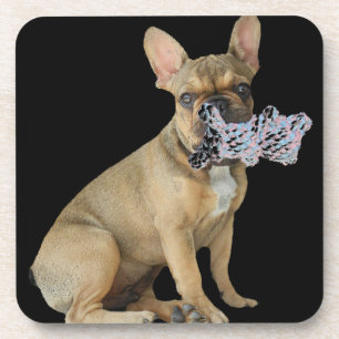 Französische Bulldogge Welpe French Bulldog Untersetzer