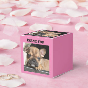 Französische Bulldogge Welpe Geschenkschachtel