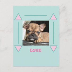 Französische Bulldogge Welpe Love, Postkarte