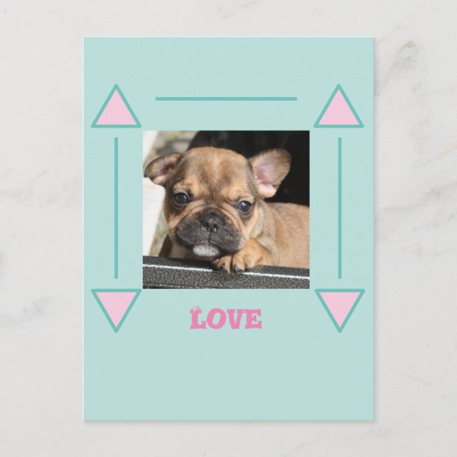 Französische Bulldogge Welpe Love, Postkarte (Vorderseite)