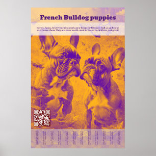 Französische Bulldogge Welpe Verkauf Abreißzettel Poster