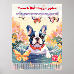 Französische Bulldogge-Welpe zu verkaufen Abreißbl Poster