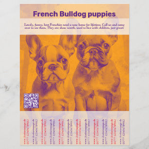Französische Bulldogge-Welpen-Flugblatt Flyer