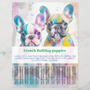 Französische Bulldogge-Welpen-Flyer  Flyer