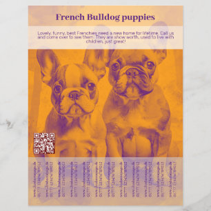 Französische Bulldogge-Welpenflyer Flyer