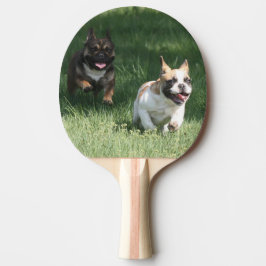 Französische Bulldogge Wettrennen French Bulldog Tischtennis Schläger