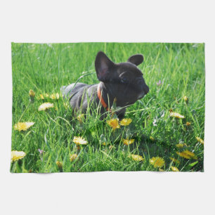 Französische Bulldogge Wiese French Bulldog Geschirrtuch