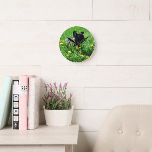 Französische Bulldogge Wiese French Bulldog Runde Wanduhr