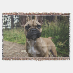 Französische Bulldogge Wurfkissen Decke